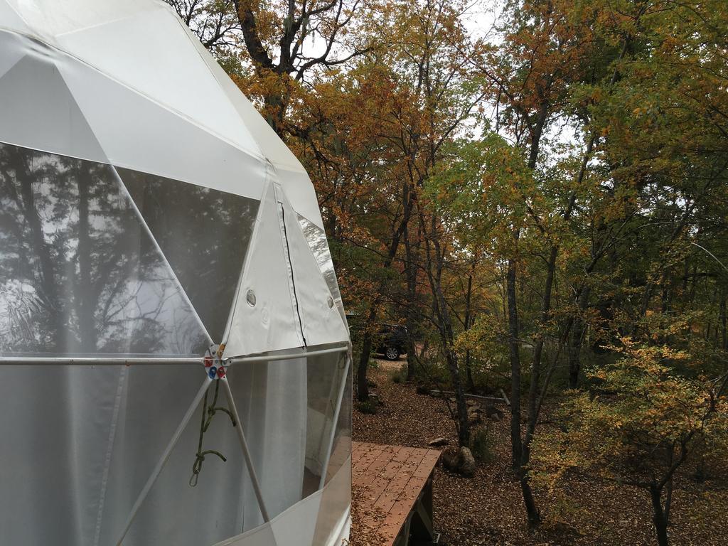 Glamping Domos Treepod Hotel Las Trancas Eksteriør billede