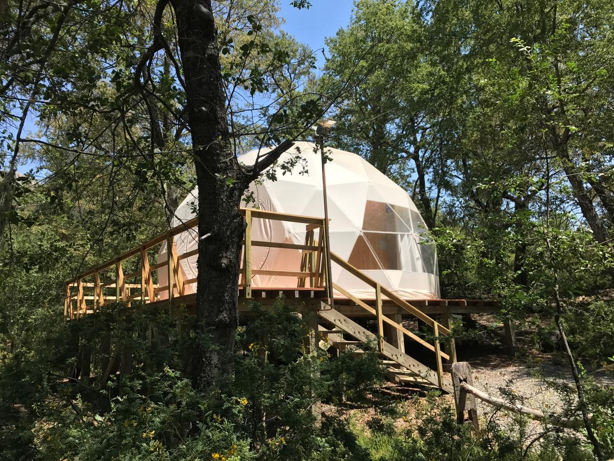 Glamping Domos Treepod Hotel Las Trancas Eksteriør billede